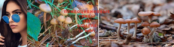 наркотики Армянск