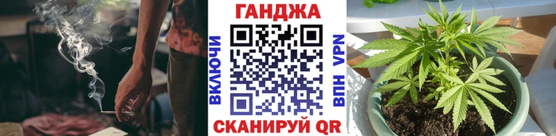 где можно купить Судак Канабис сатива